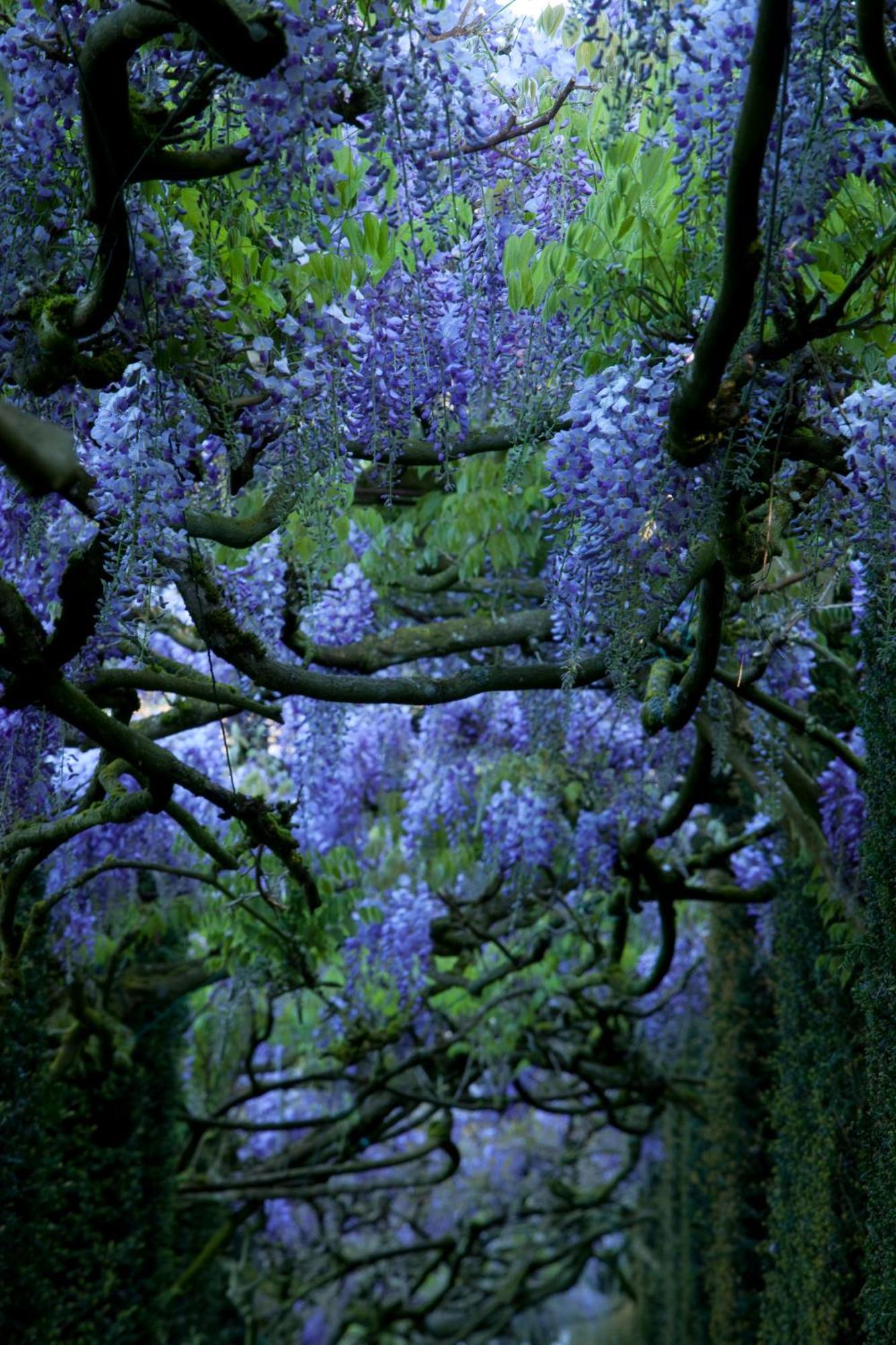 Chateau De La Ballue - Teritoria Val-Couesnon Екстер'єр фото